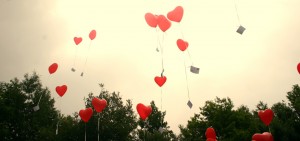 Professional Wedding Videos